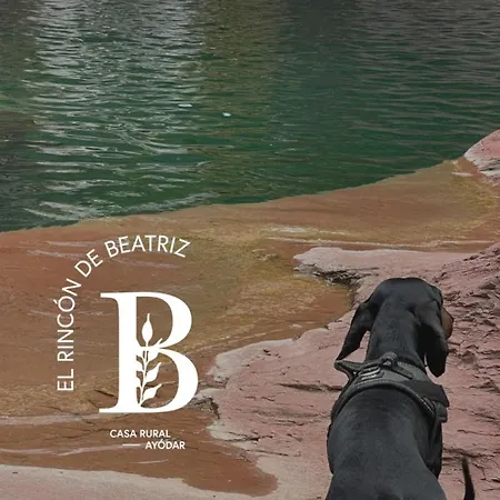 El Rincon De Beatriz